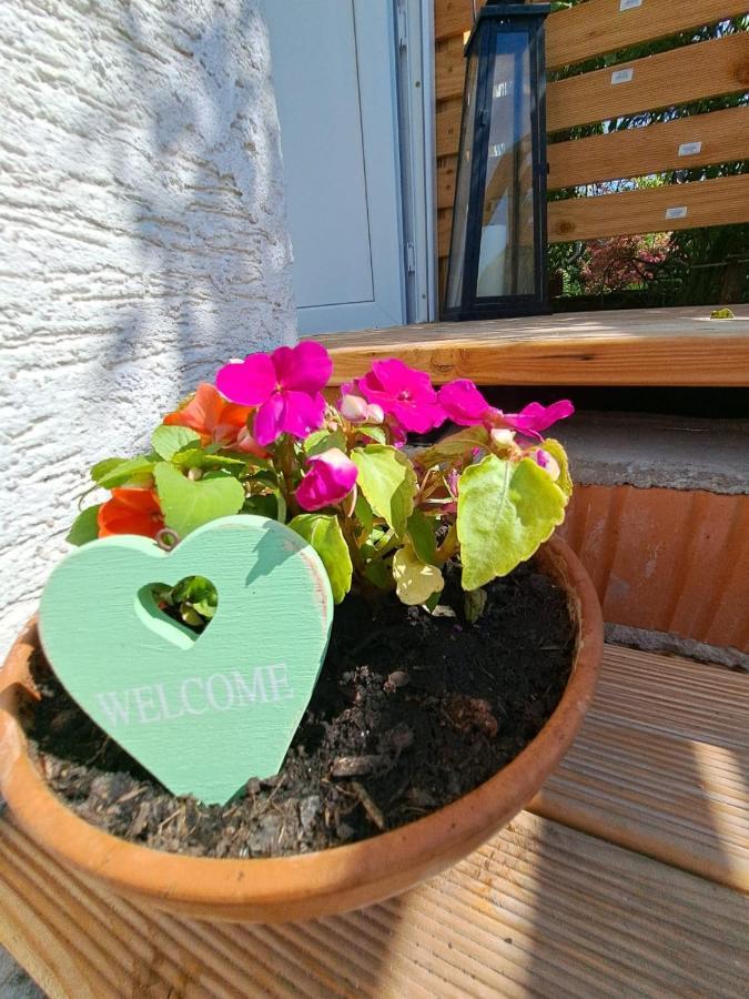 Ferienwohnung Rosengarten Ballenstedt Eksteriør billede