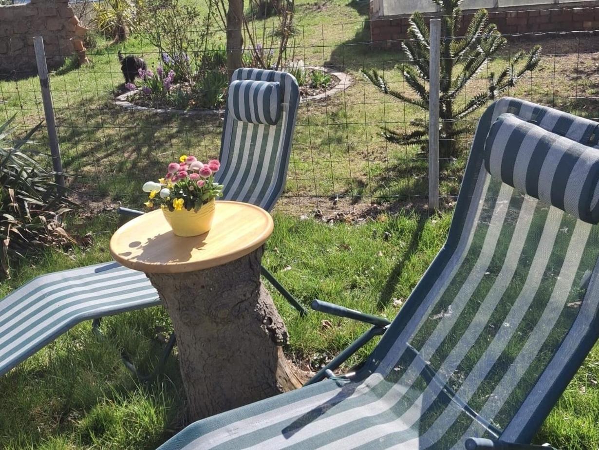 Ferienwohnung Rosengarten Ballenstedt Eksteriør billede